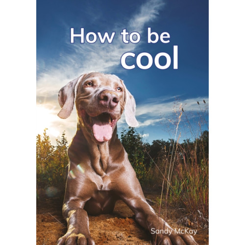 Capstone Global Library Ltd How to be cool (häftad, eng)