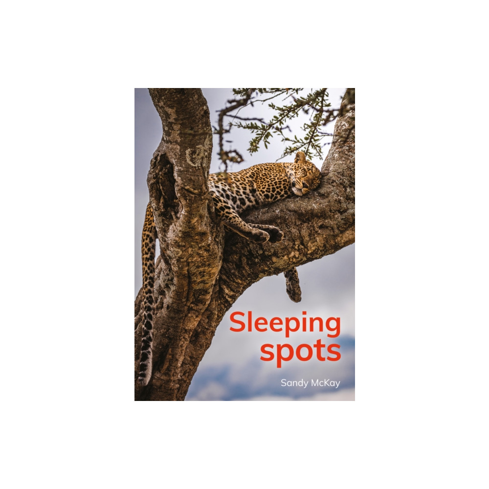 Produktbild för Sleeping spots (häftad, eng)
