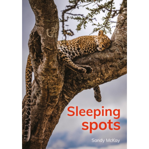 Capstone Global Library Ltd Sleeping spots (häftad, eng)