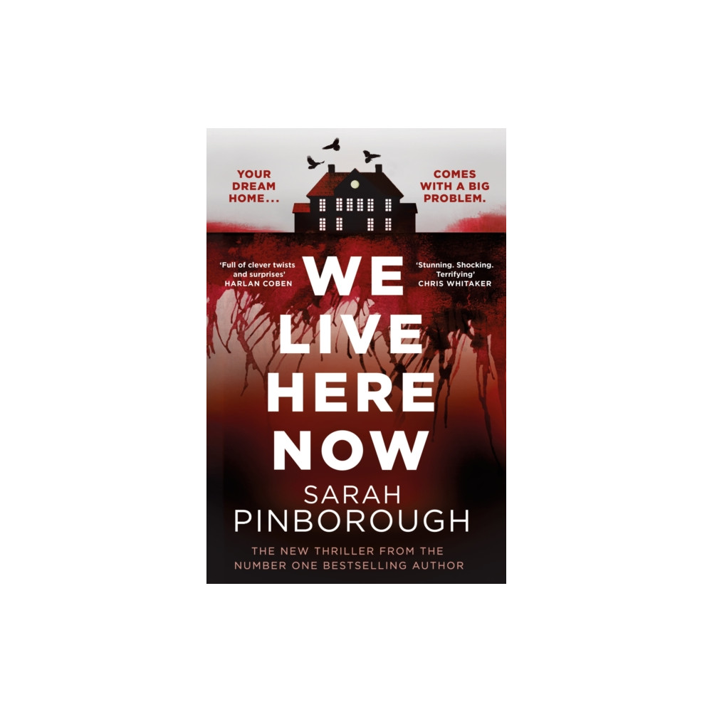 Produktbild för We Live Here Now (häftad, eng)