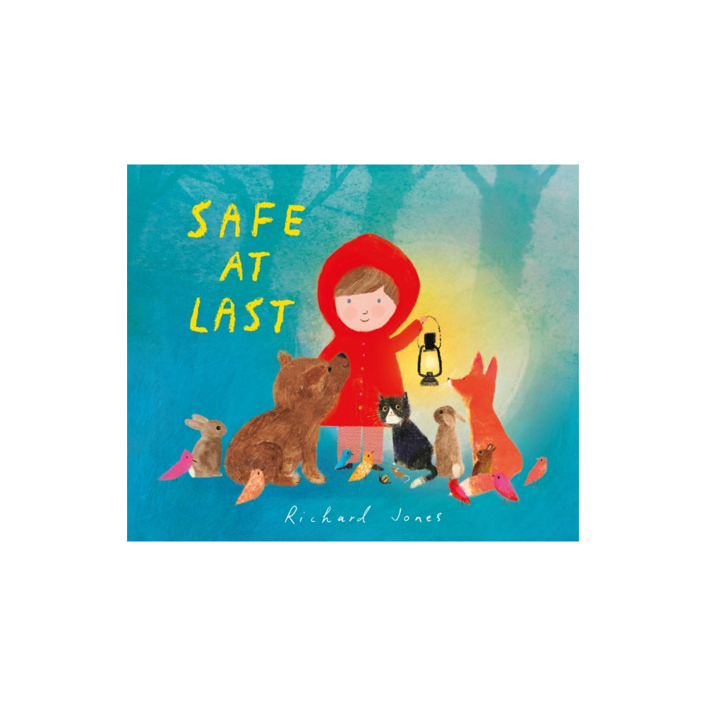 Produktbild för Safe at Last (inbunden, eng)