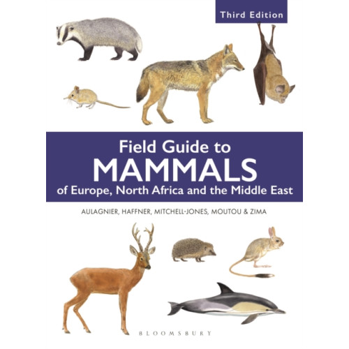 Bloomsbury Publishing PLC Field Guide to Mammals of Europe, North Africa and the Middle East (häftad, eng)