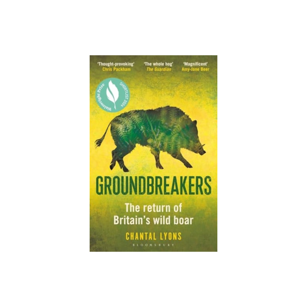 Produktbild för Groundbreakers (häftad, eng)