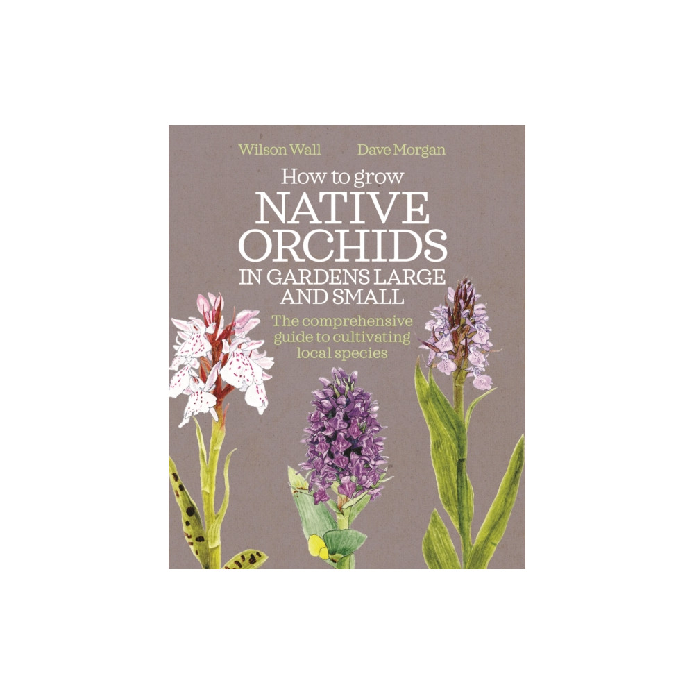 Produktbild för How to Grow Native Orchids in Gardens Large and Small (häftad, eng)