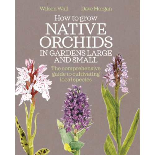 Bloomsbury Publishing PLC How to Grow Native Orchids in Gardens Large and Small (häftad, eng)