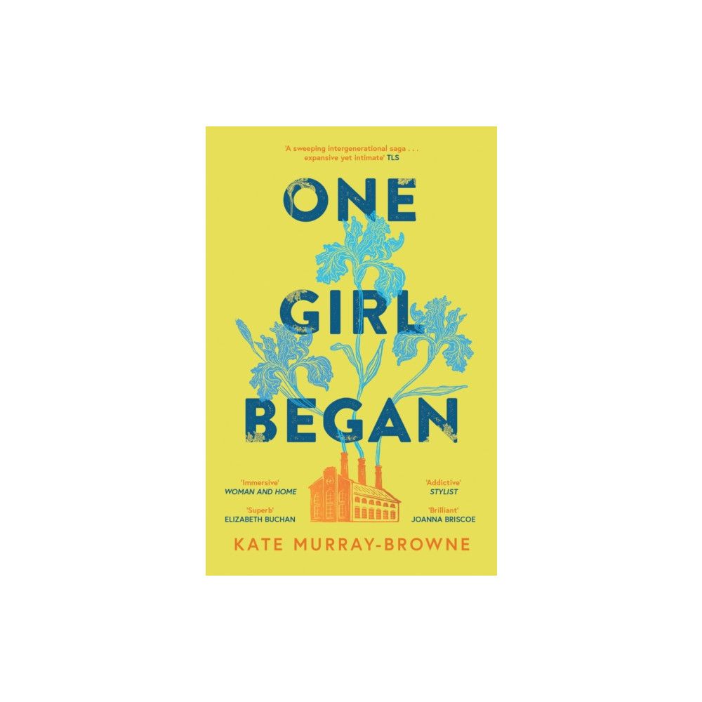 Produktbild för One Girl Began (häftad, eng)