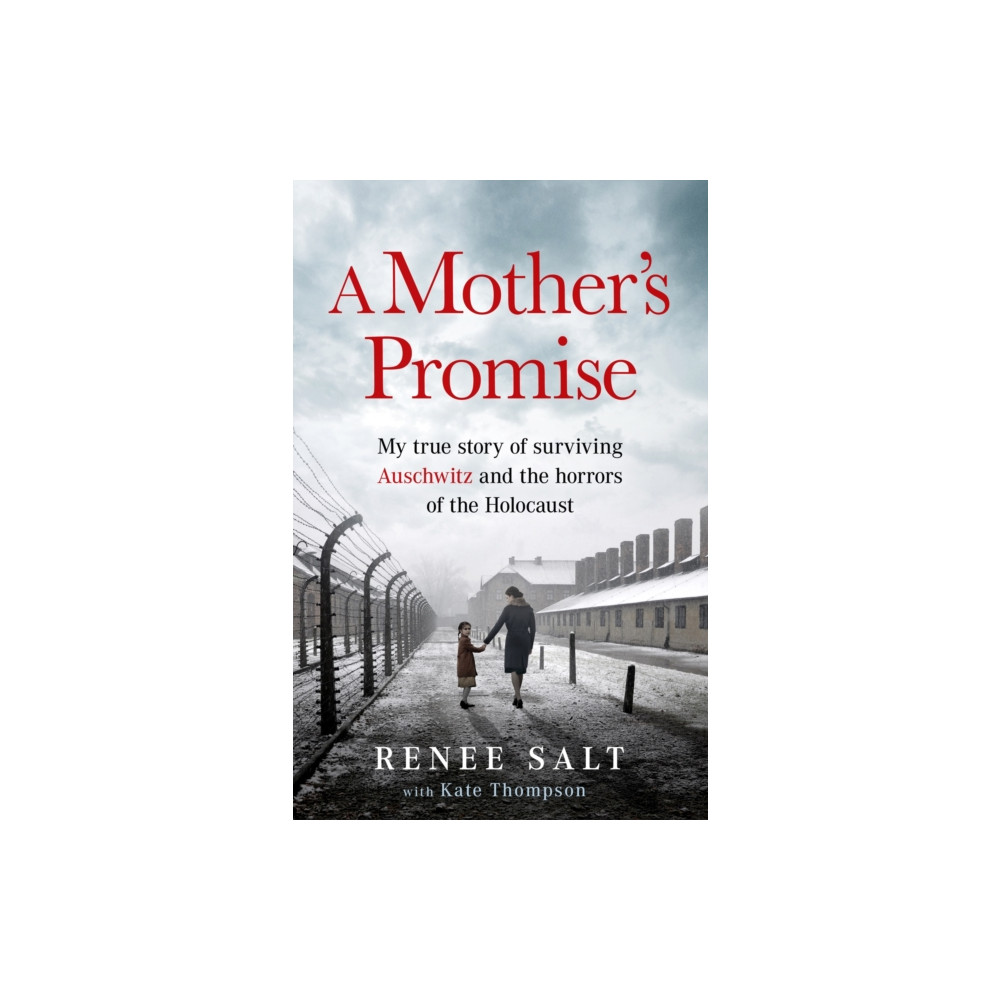 Produktbild för A Mother's Promise (häftad, eng)