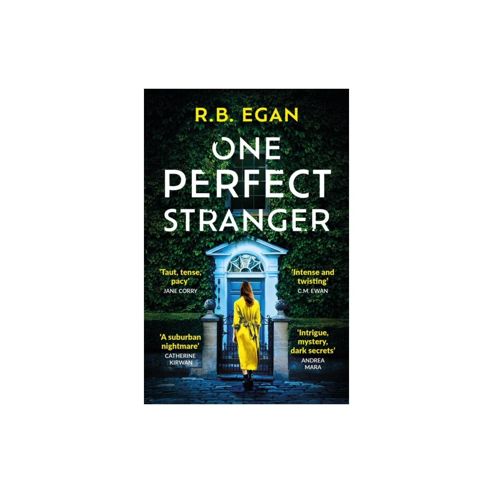 Produktbild för One Perfect Stranger (häftad, eng)