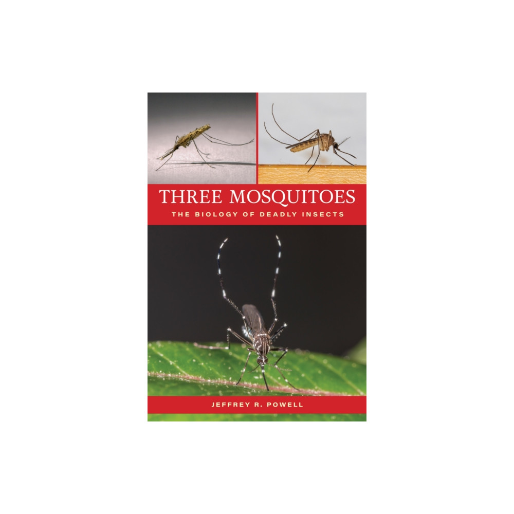 Produktbild för Three Mosquitoes (häftad, eng)
