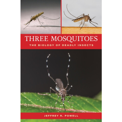 Johns Hopkins University Press Three Mosquitoes (häftad, eng)