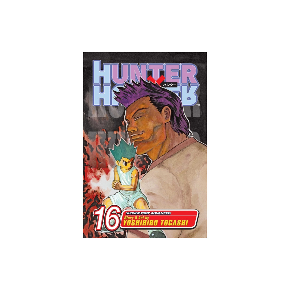 Produktbild för Hunter x Hunter, Vol. 16 (häftad, eng)