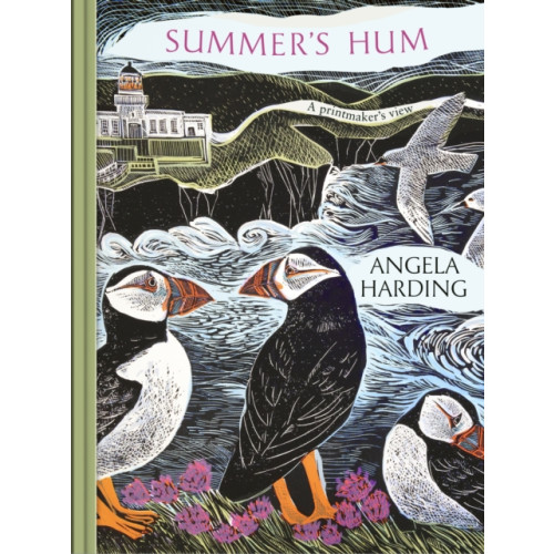 Little, Brown Book Group Summer's Hum (inbunden, eng)