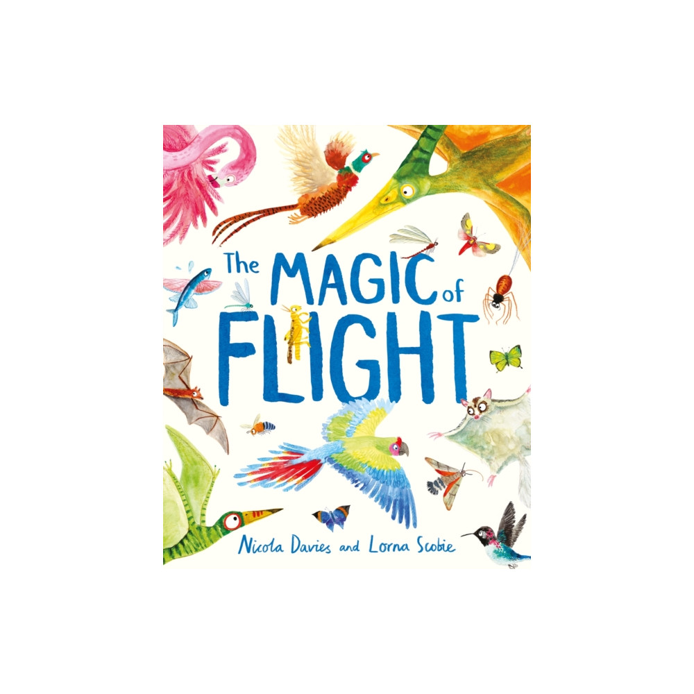 Produktbild för The Magic of Flight (inbunden, eng)