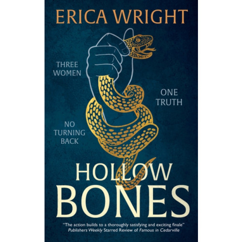 Joffe Books Hollow Bones (häftad, eng)
