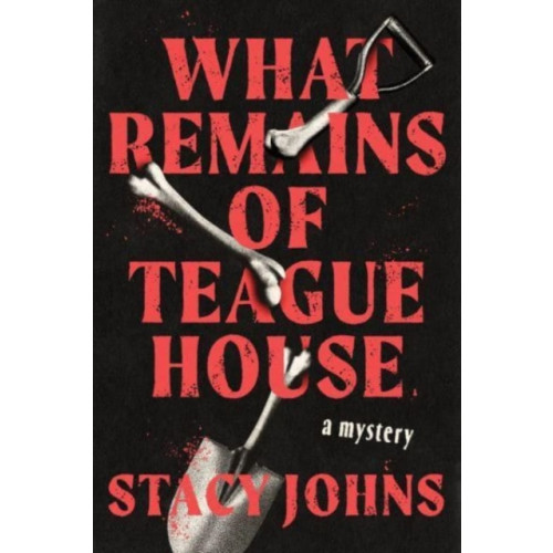 Sourcebooks, Inc What Remains of Teague House (häftad, eng)