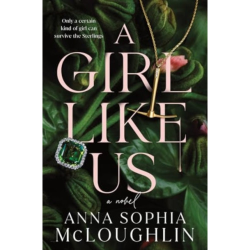 Sourcebooks, Inc A Girl Like Us (häftad, eng)