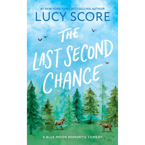 Sourcebooks, Inc The Last Second Chance (häftad, eng)