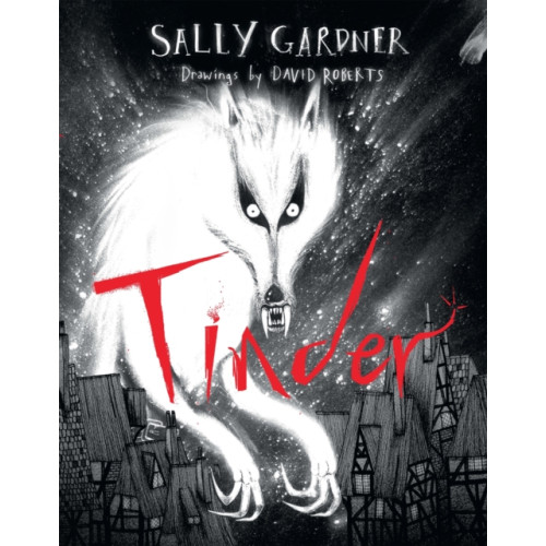 Hachette Children's Group Tinder (inbunden, eng)