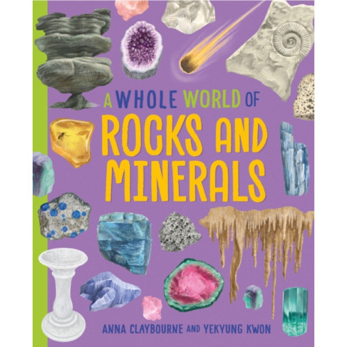 Hachette Children's Group A Whole World of...: Rocks and Minerals (inbunden, eng)