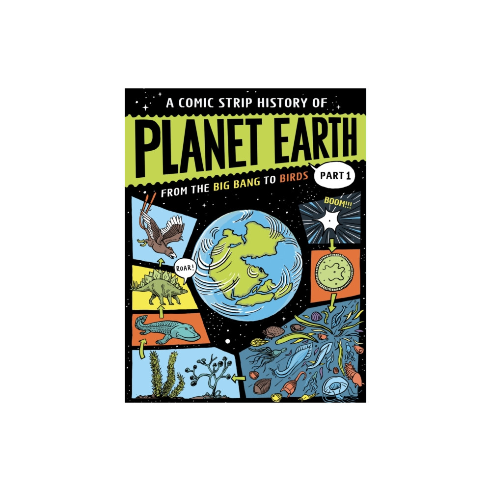 Produktbild för A Comic Strip History of Planet Earth: Part 1 From the Big Bang to Birds (häftad, eng)