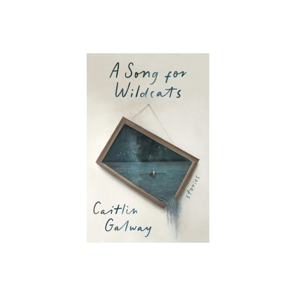 Produktbild för A Song for Wildcats (häftad, eng)