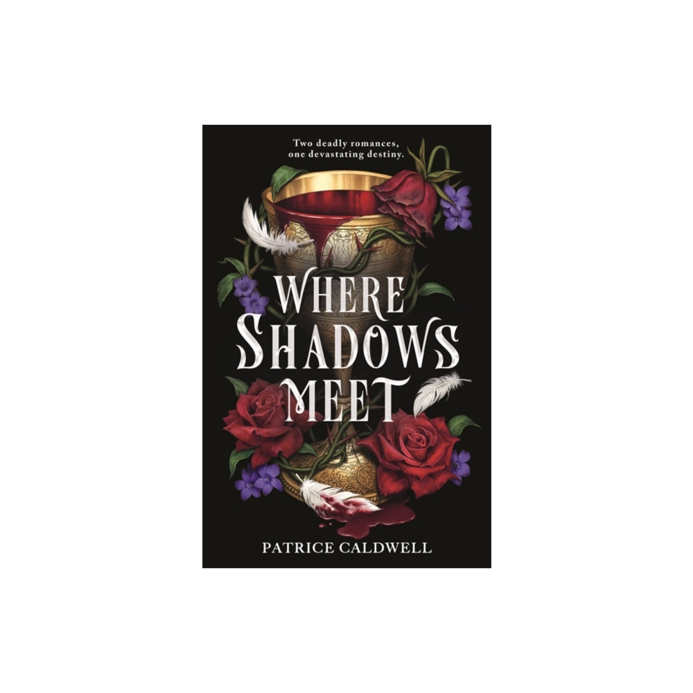 Produktbild för Where Shadows Meet (häftad, eng)
