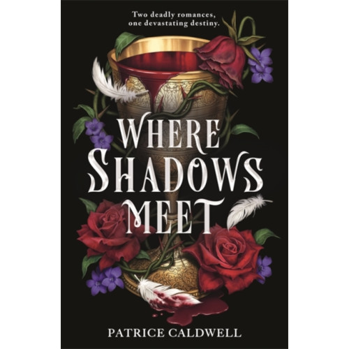 Hot Key Books Where Shadows Meet (häftad, eng)