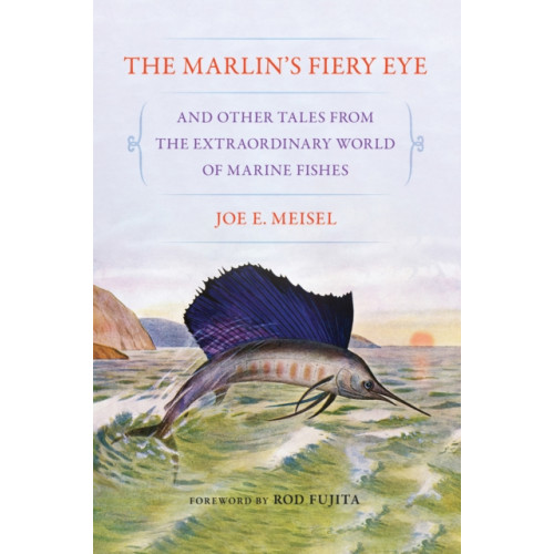 Cornell University Press The Marlin's Fiery Eye and Other Tales from the Extraordinary World of Marine Fishes (häftad, eng)