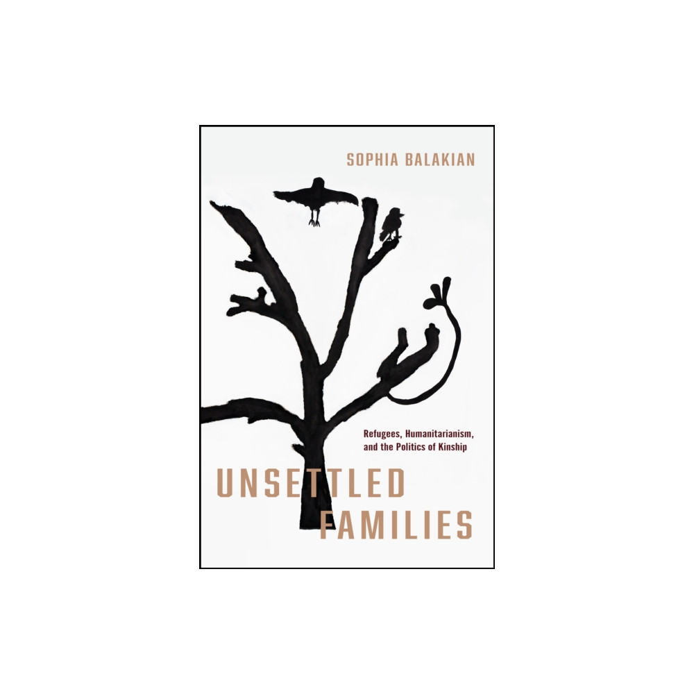 Produktbild för Unsettled Families (häftad, eng)