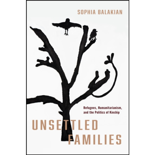 Stanford university press Unsettled Families (häftad, eng)