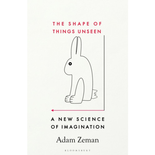 Bloomsbury Publishing PLC The Shape of Things Unseen (inbunden, eng)