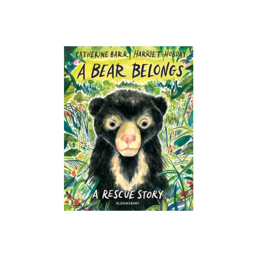 Produktbild för A Bear Belongs (inbunden, eng)