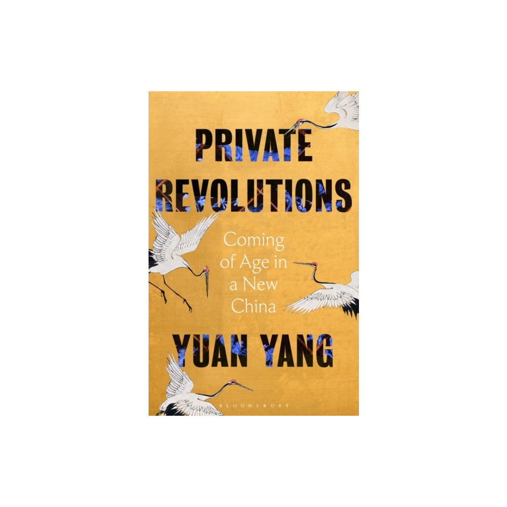 Produktbild för Private Revolutions (häftad, eng)