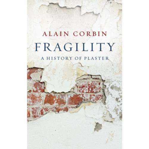 John Wiley And Sons Ltd Fragility (häftad, eng)