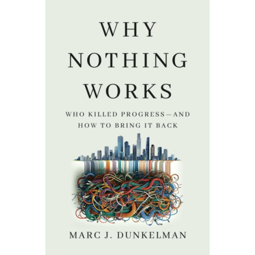 PublicAffairs,U.S. Why Nothing Works (inbunden, eng)