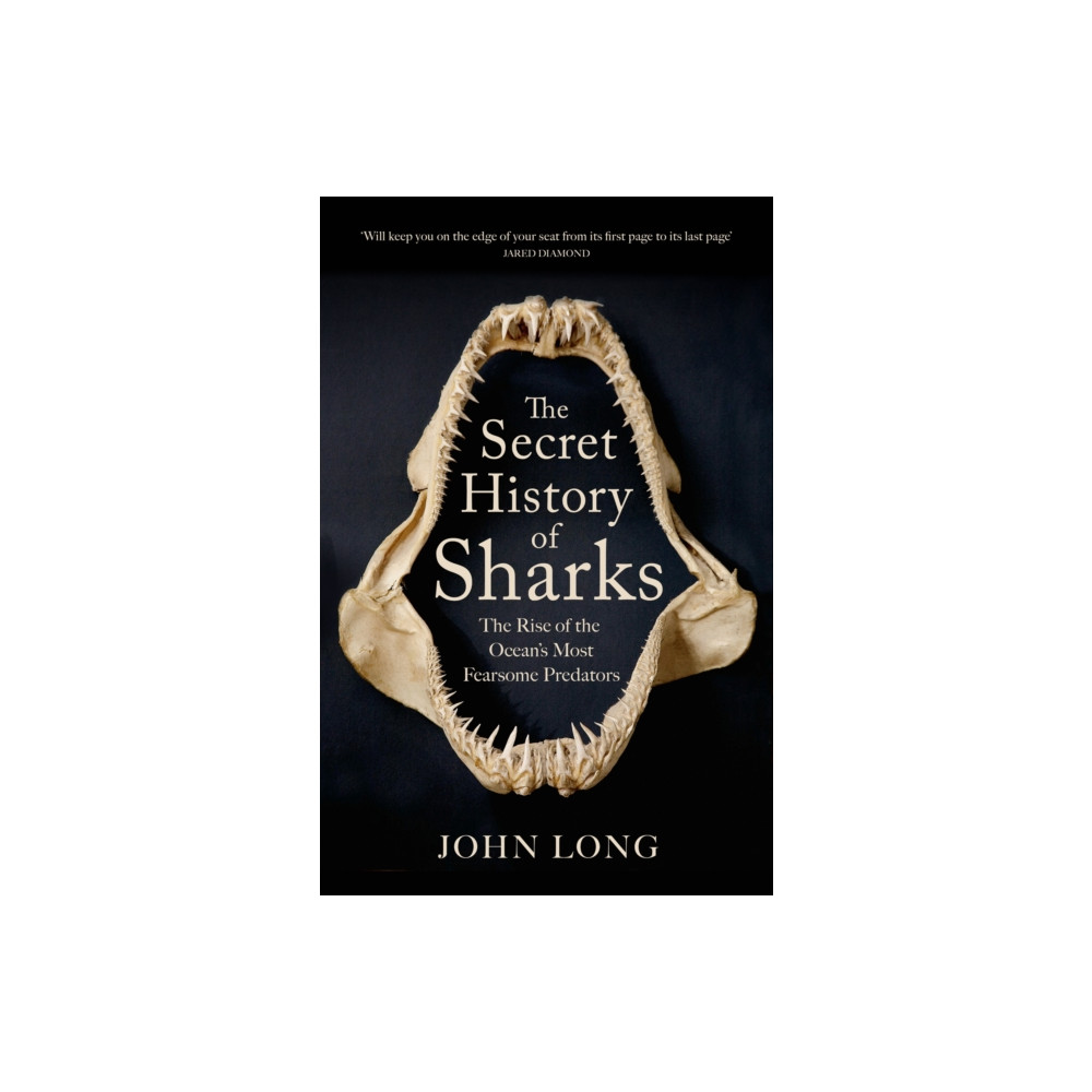Produktbild för The Secret History of Sharks (häftad, eng)