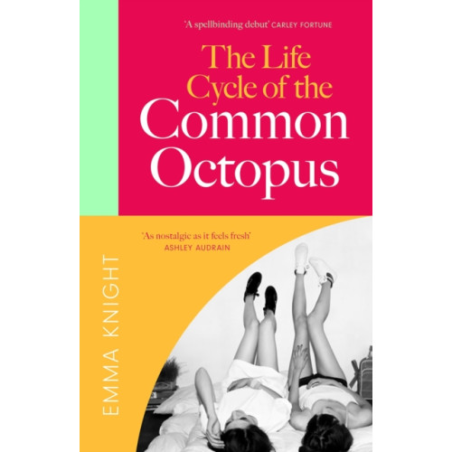 Quercus Publishing The Life Cycle of the Common Octopus (häftad, eng)