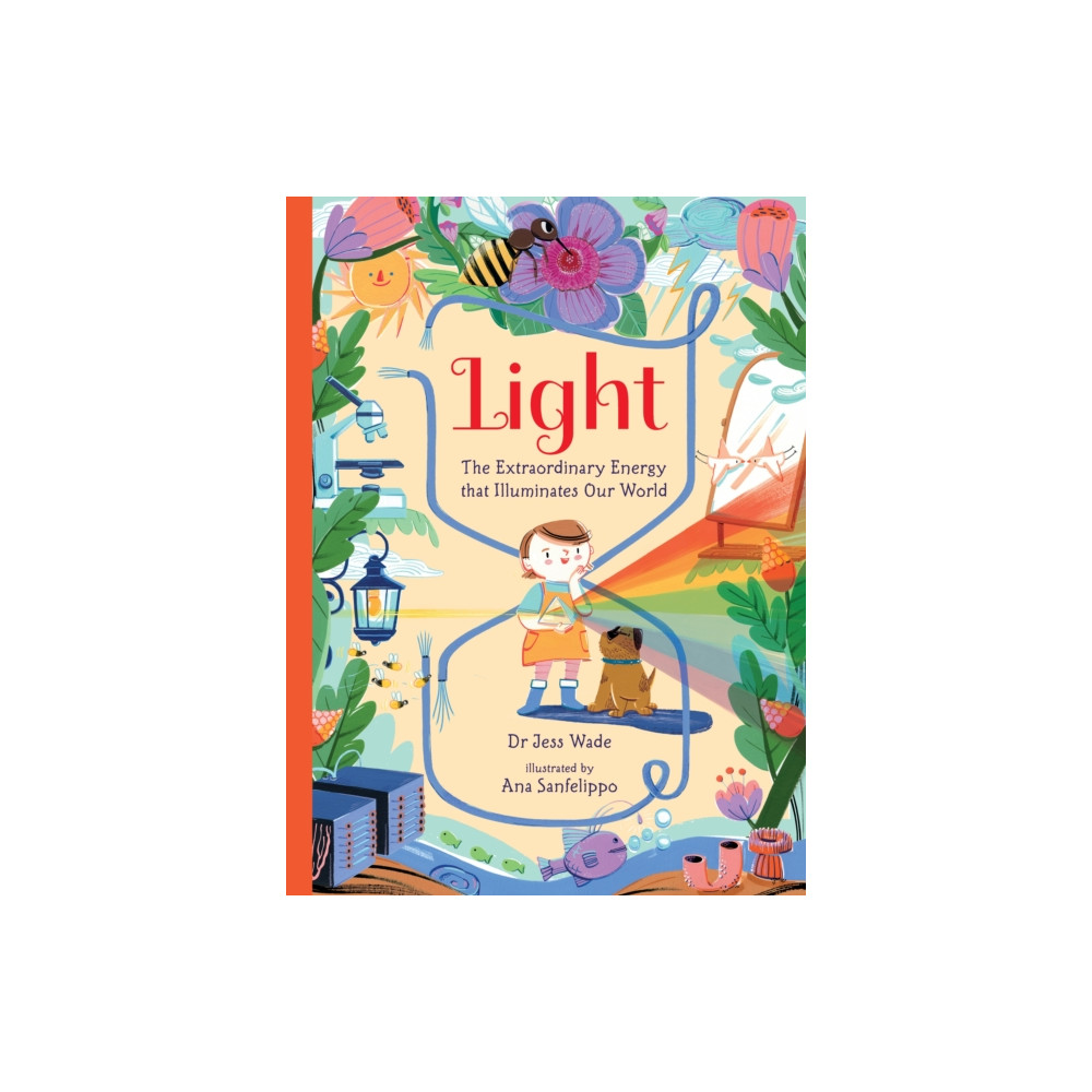 Produktbild för Light: The Extraordinary Energy That Illuminates Our World (inbunden, eng)