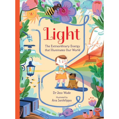 Walker Books Ltd Light: The Extraordinary Energy That Illuminates Our World (inbunden, eng)