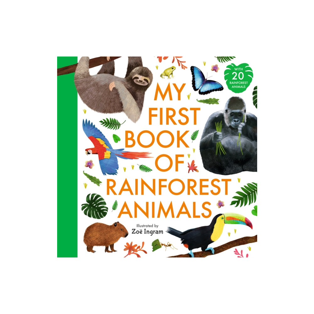 Produktbild för My First Book of Rainforest Animals (inbunden, eng)