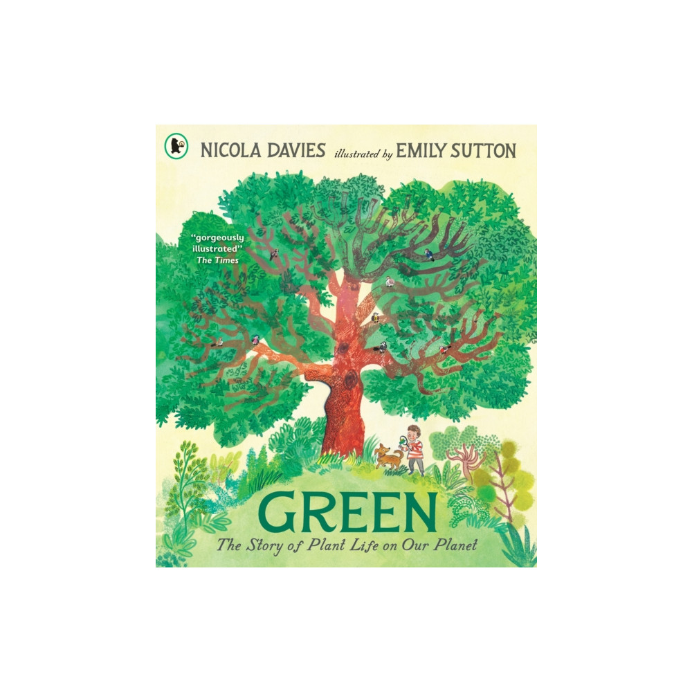 Produktbild för Green: The Story of Plant Life on Our Planet (häftad, eng)