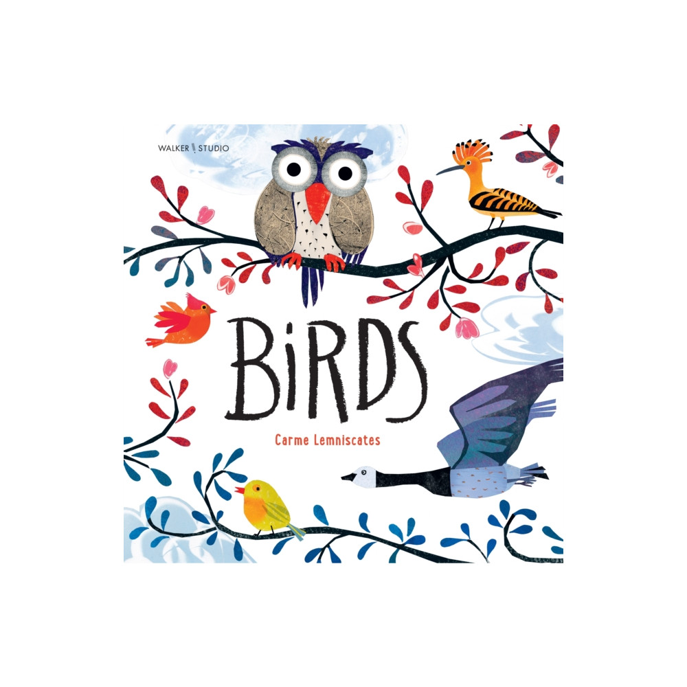 Produktbild för Birds (häftad, eng)