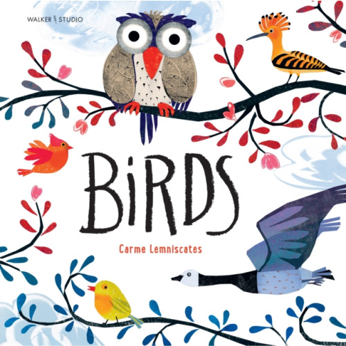 Walker Books Ltd Birds (häftad, eng)