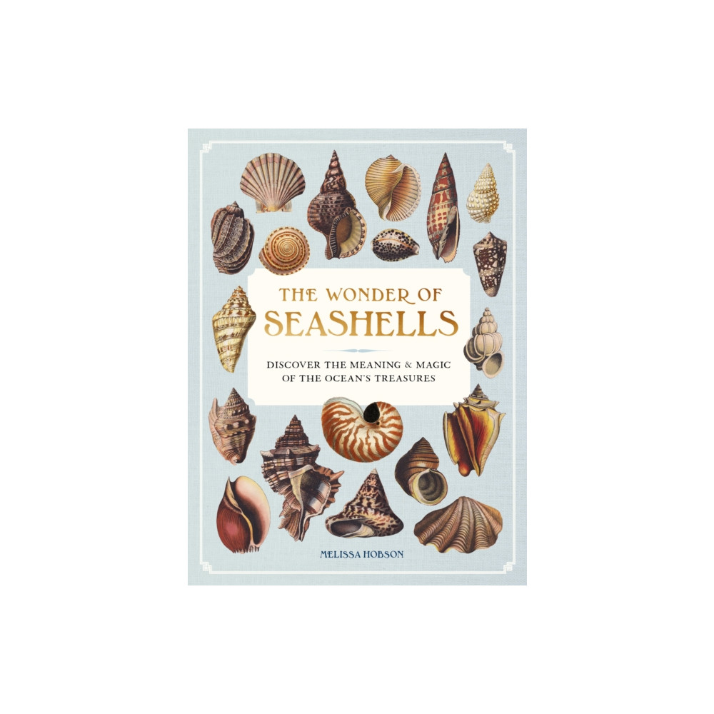 Produktbild för The Wonder of Seashells (inbunden, eng)