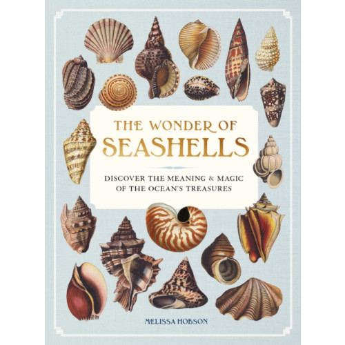 Quarto Publishing Group USA Inc The Wonder of Seashells (inbunden, eng)