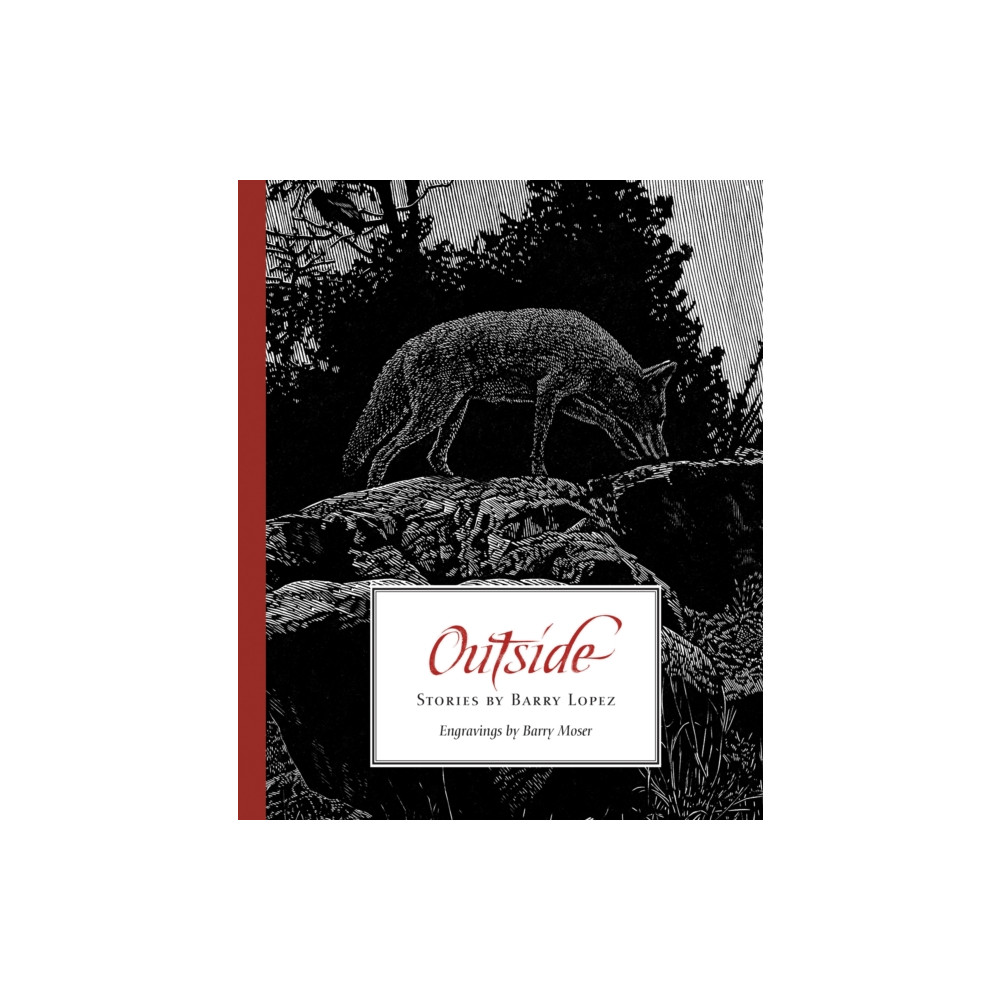 Produktbild för Outside (häftad, eng)