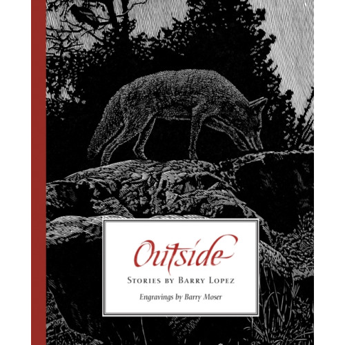 Trinity University Press,U.S. Outside (häftad, eng)