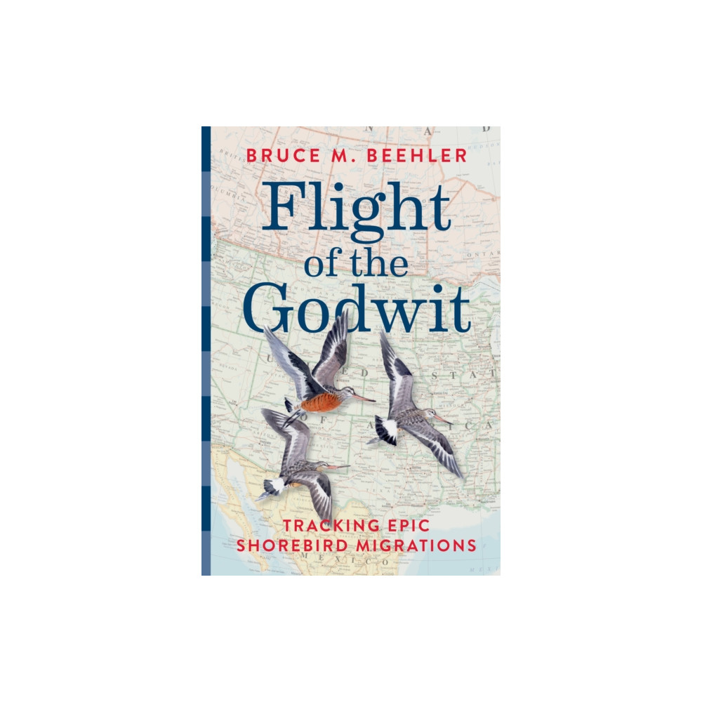 Produktbild för Flight of the Godwit (inbunden, eng)