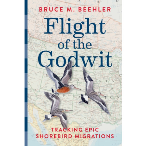 Smithsonian Books Flight of the Godwit (inbunden, eng)