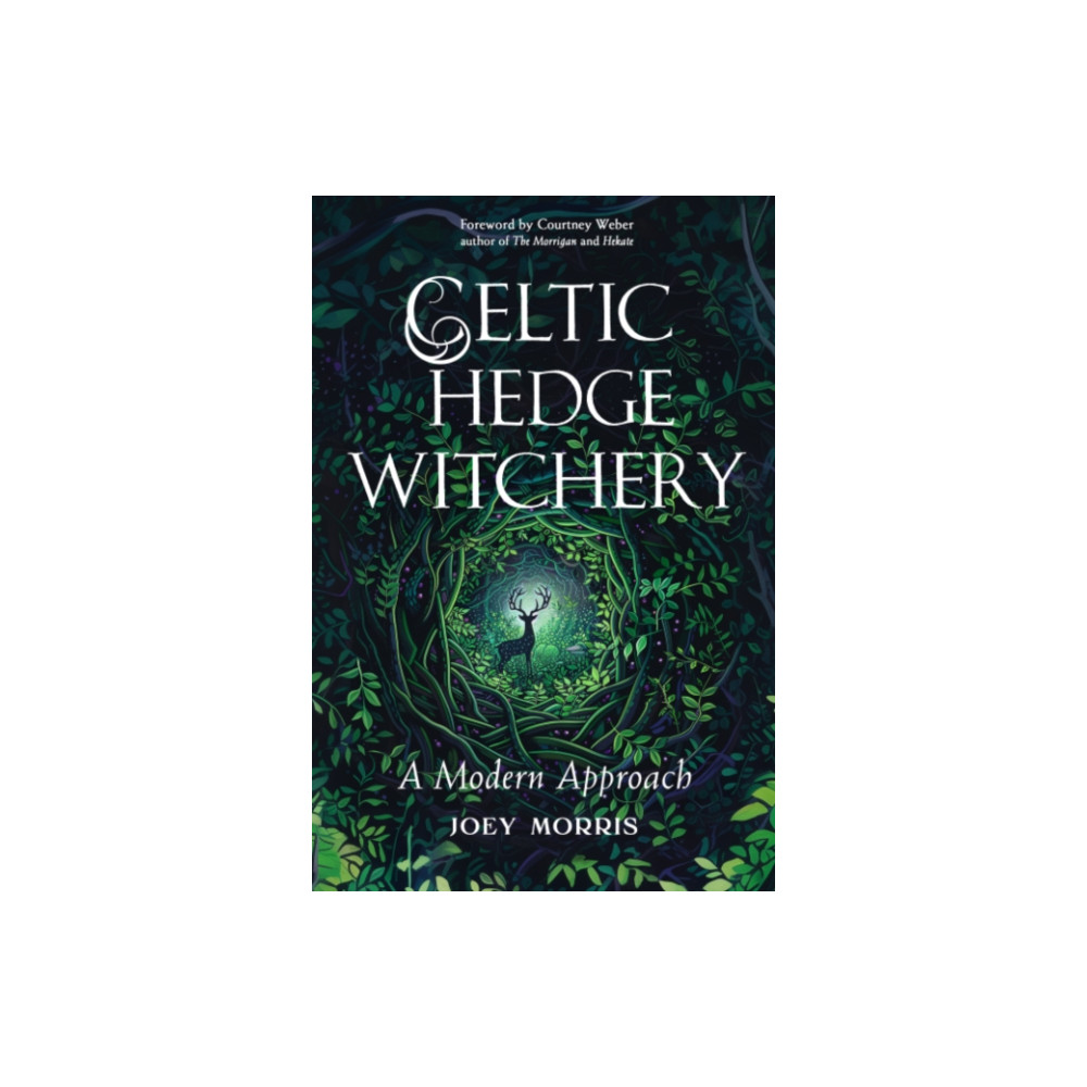 Produktbild för Celtic Hedge Witchery—A Modern Approach (häftad, eng)